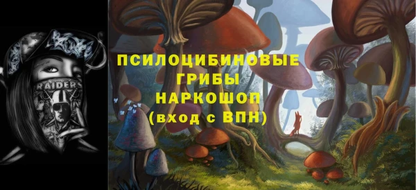 прущая мука Бронницы